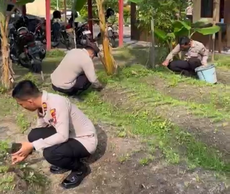 Kebun P2L Polsek Dabo Singkep Jadi Langkah Konkret Mendukung Program Pangan Nasional
